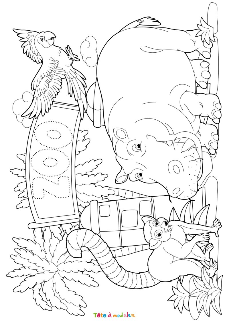 Coloriage d'un zoo gratuit
