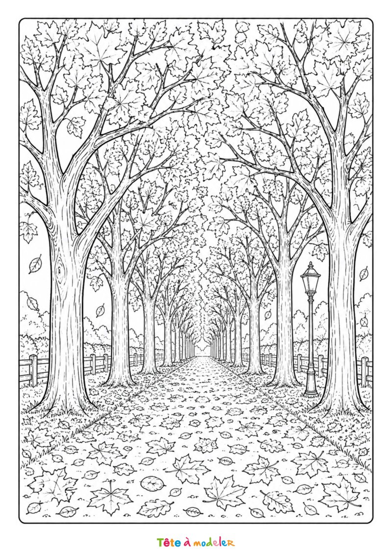 Coloriage d'une allée d'arbres d'automne