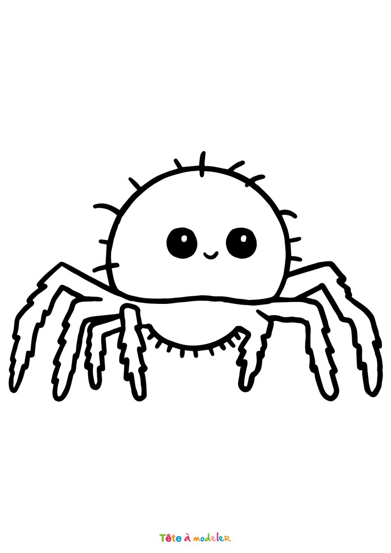 Coloriage d'une araignée à télécharger