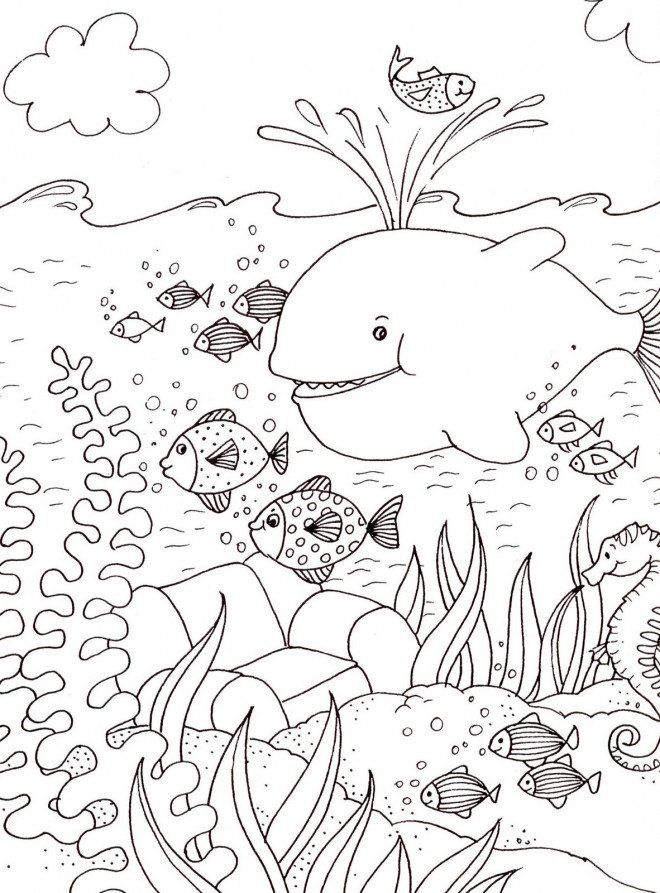 Coloriage d'une baleine avec des poissons 