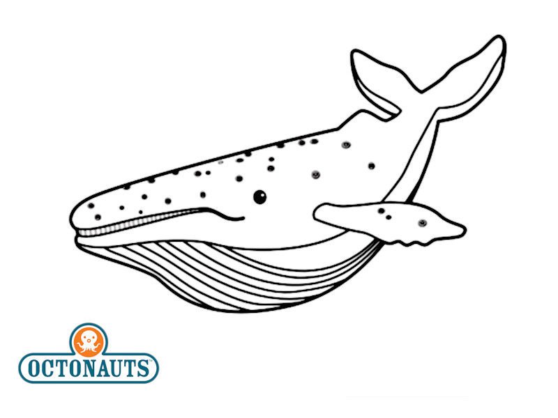 Coloriage d'une baleine d'Octonauts