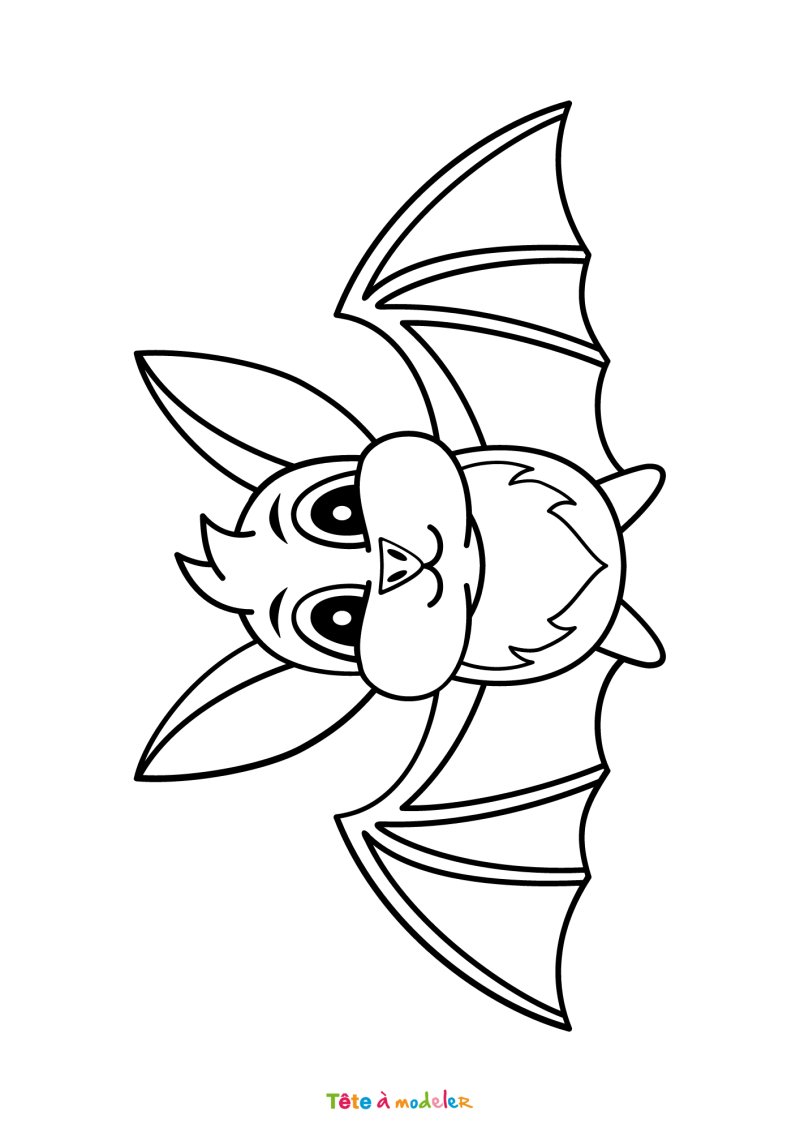 Coloriage d'une chauve souris à télécharger