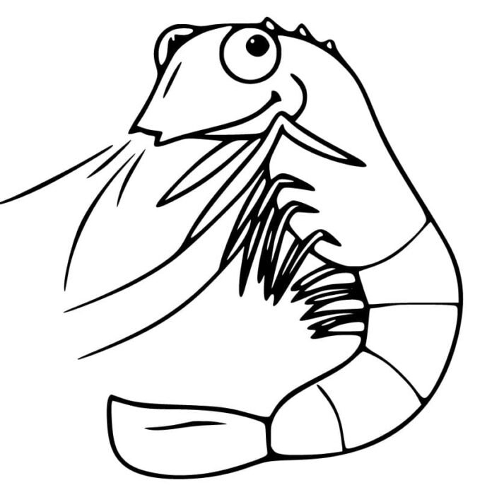 Coloriage d'une crevette facile