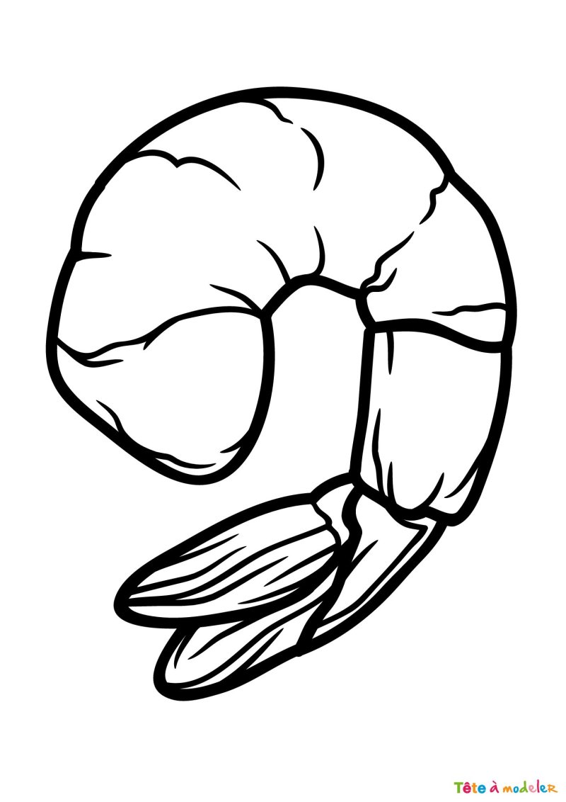 Coloriage d'une crevette grise