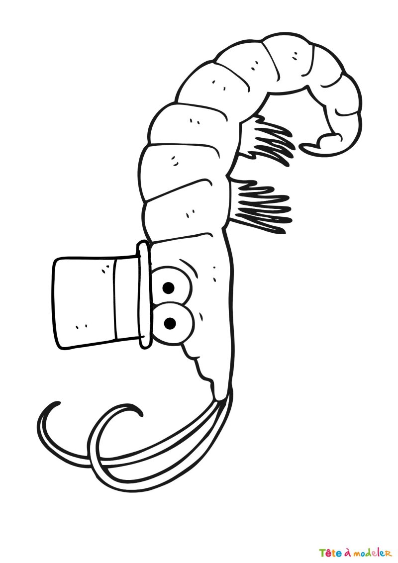 Coloriage d'une crevette humour