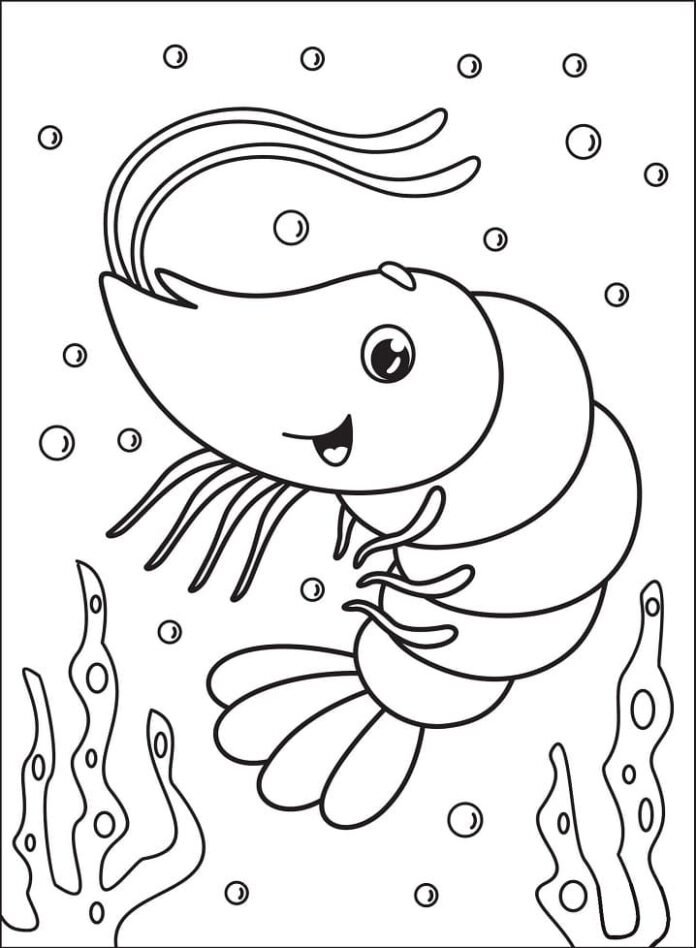 Coloriage d'une crevette pour maternelle