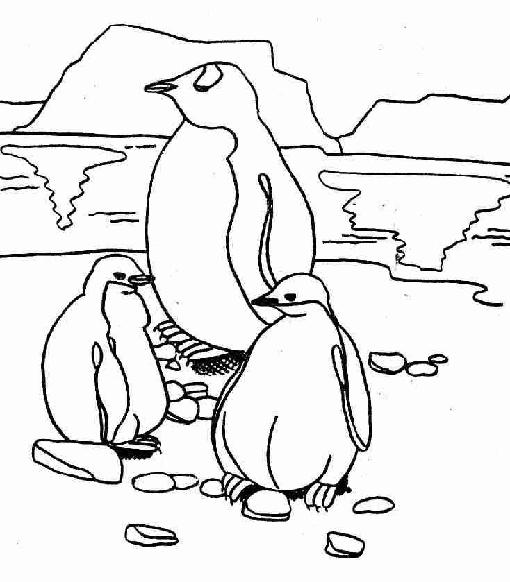 Coloriage d'une famille de manchots