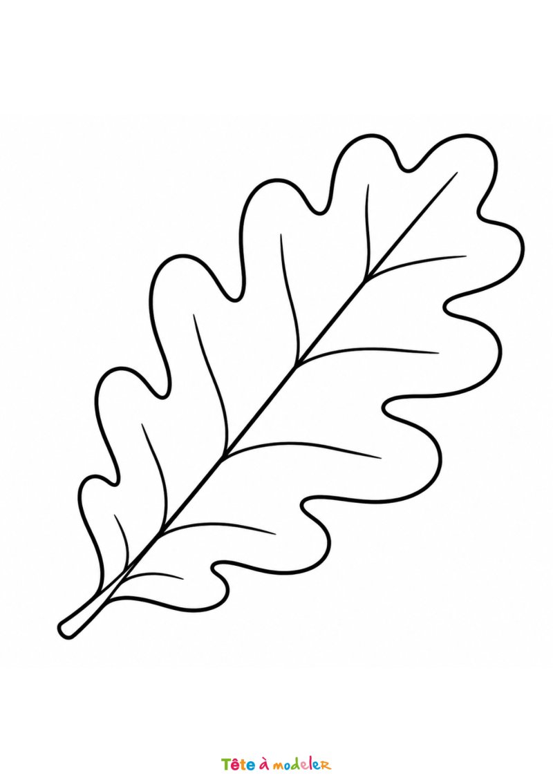 Coloriage d'une feuille de chêne à imprimer