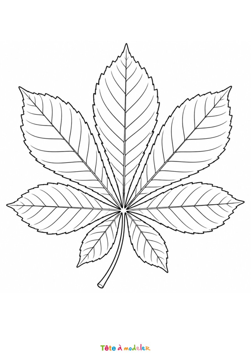 Coloriage d'une feuille de marronnier à imprimer