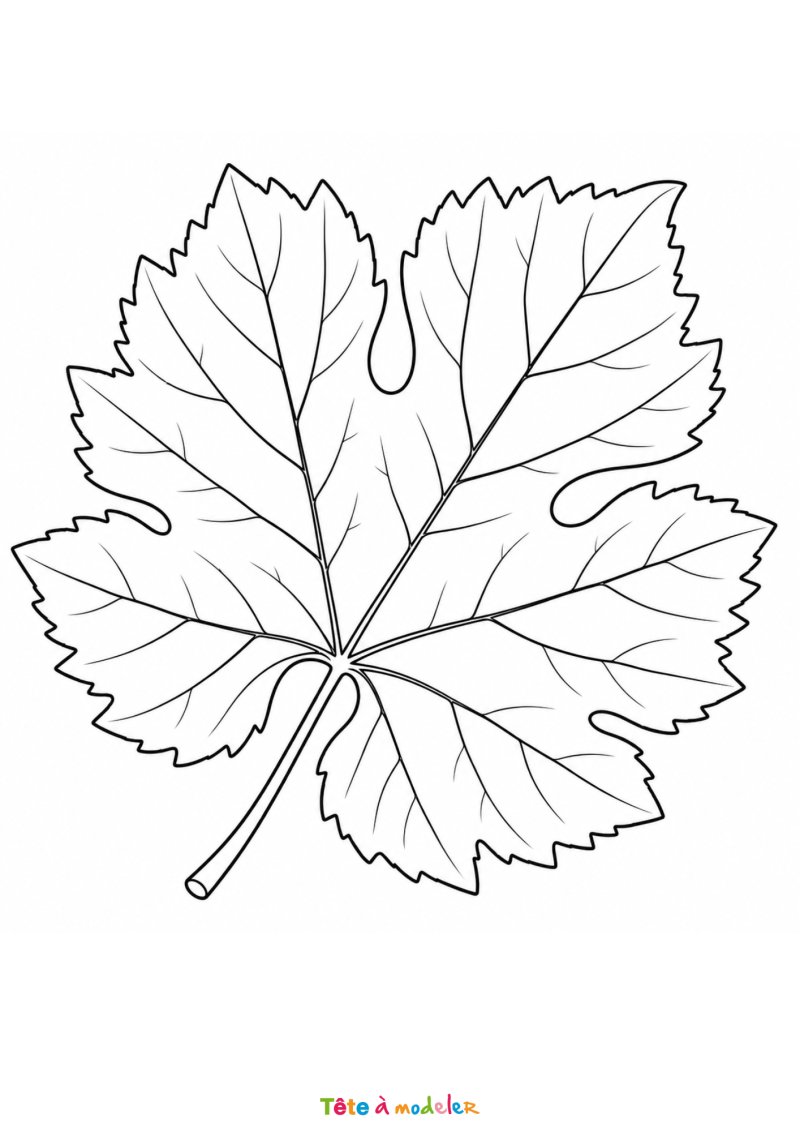 Coloriage d'une feuille de vigne à imprimer gratuitement
