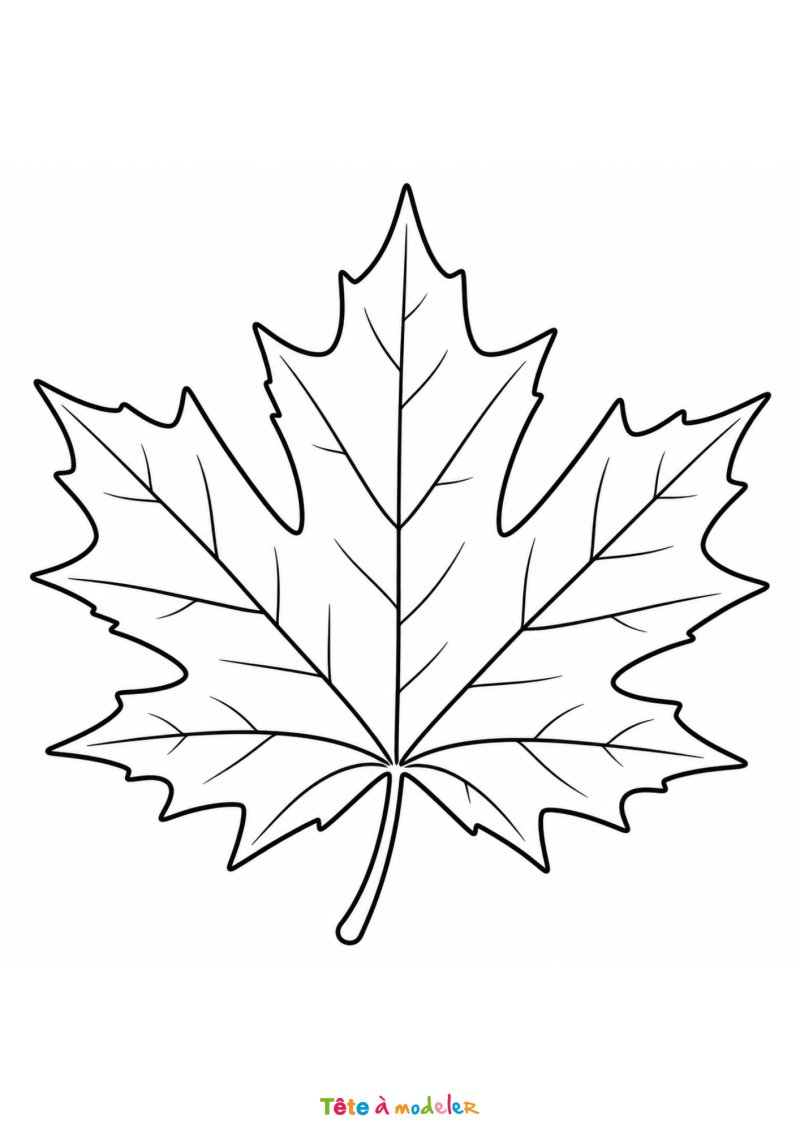 Coloriage d'une feuille d'érable à imprimer gratuitement