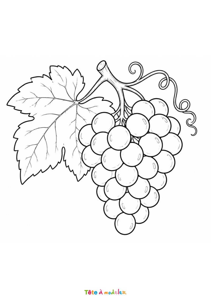 Coloriage d'une grappe de raisin