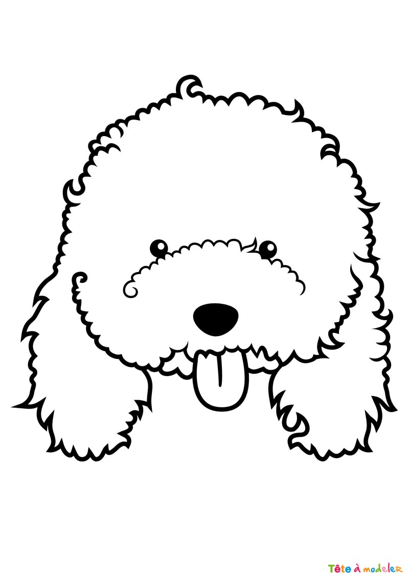 Coloriage d'une tête de caniche