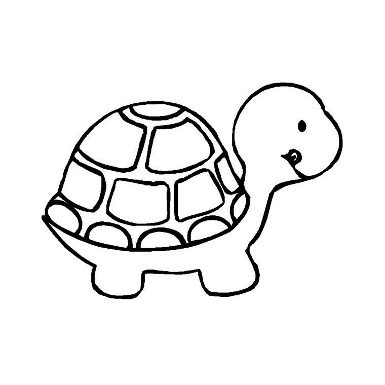 Coloriage d'une tortue bebe
