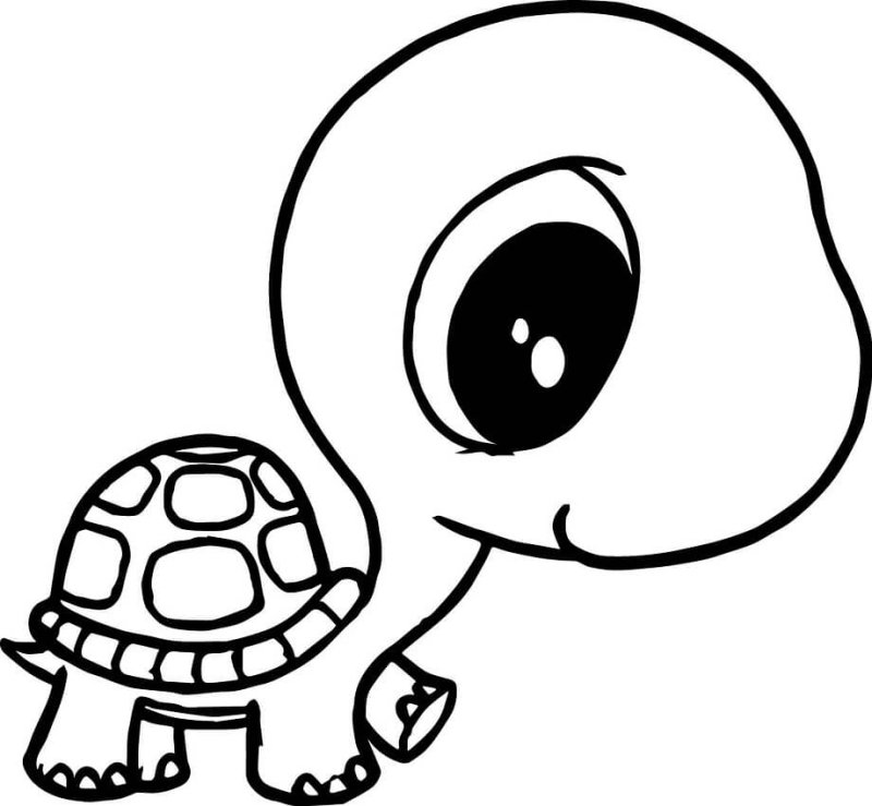 Coloriage d'une tortue pour maternelle