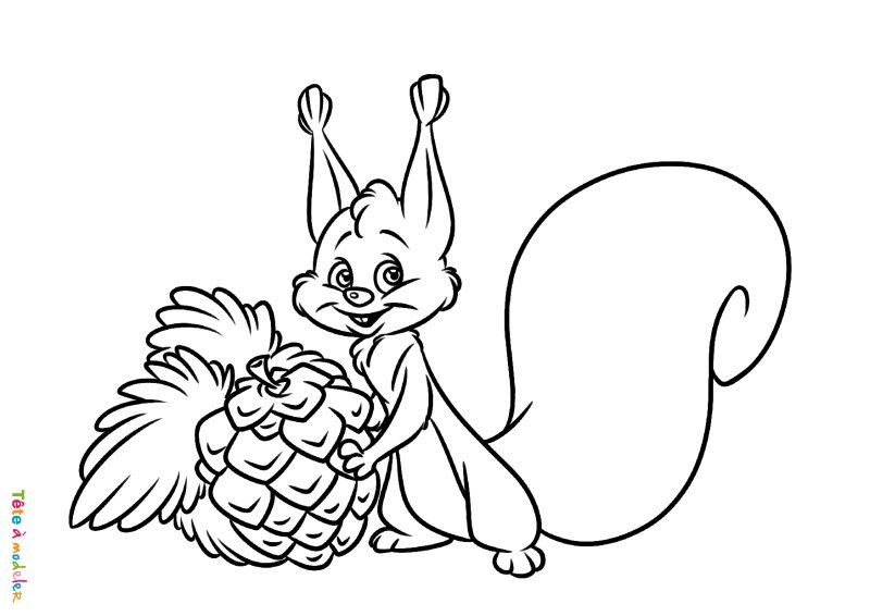 Coloriage d'un écureuil en pdf