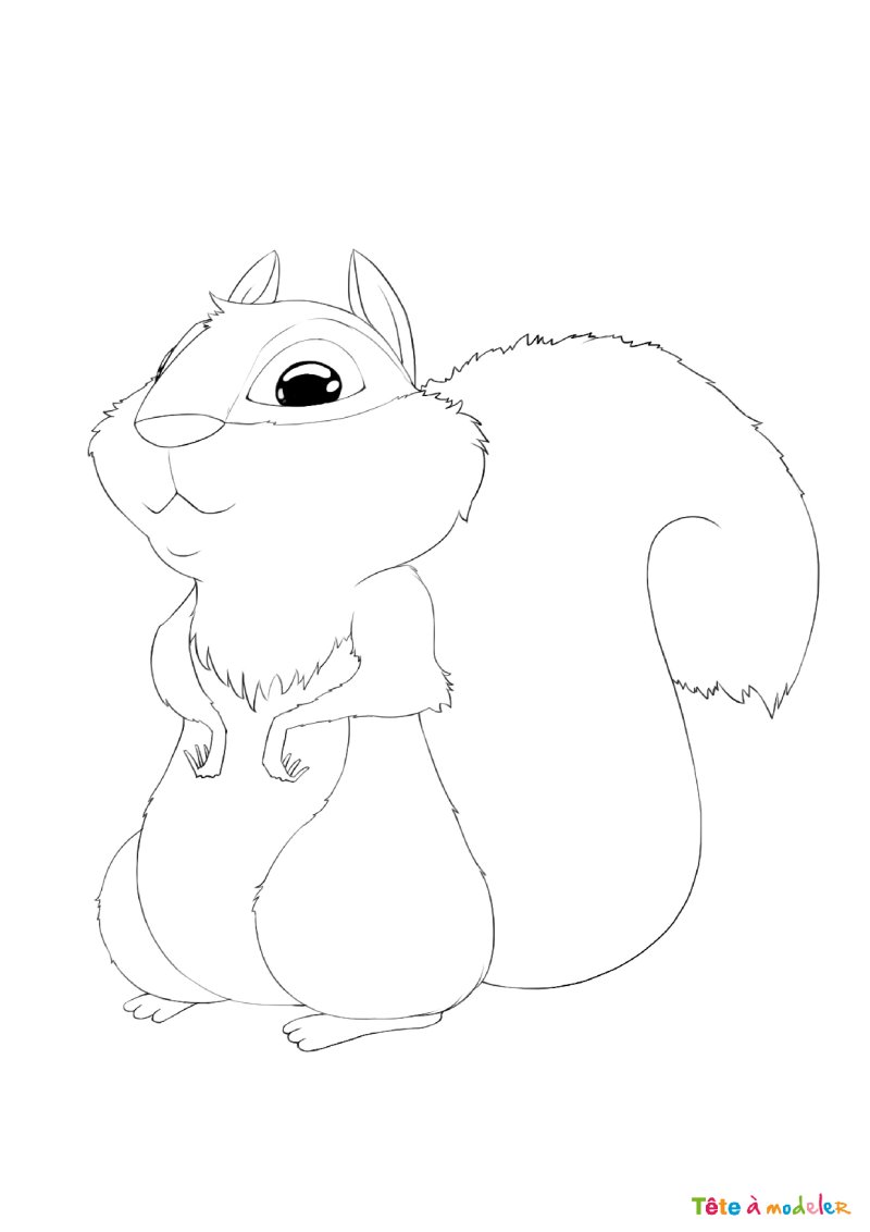 Coloriage d'un écureuil kawaii