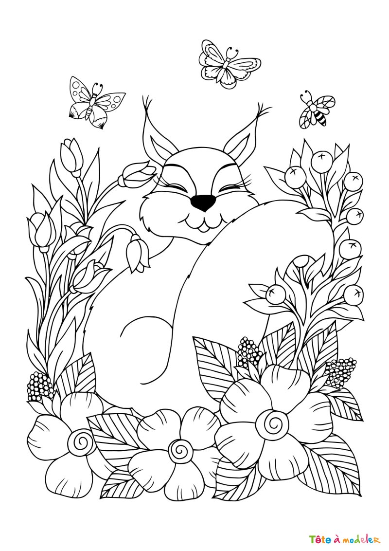 Coloriage d'un écureuil à imprimer