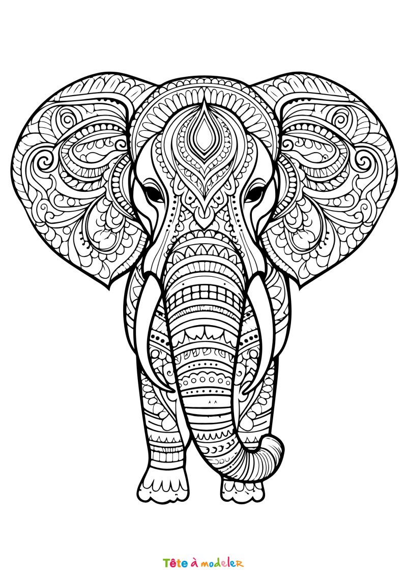Coloriage elephant art therapie
