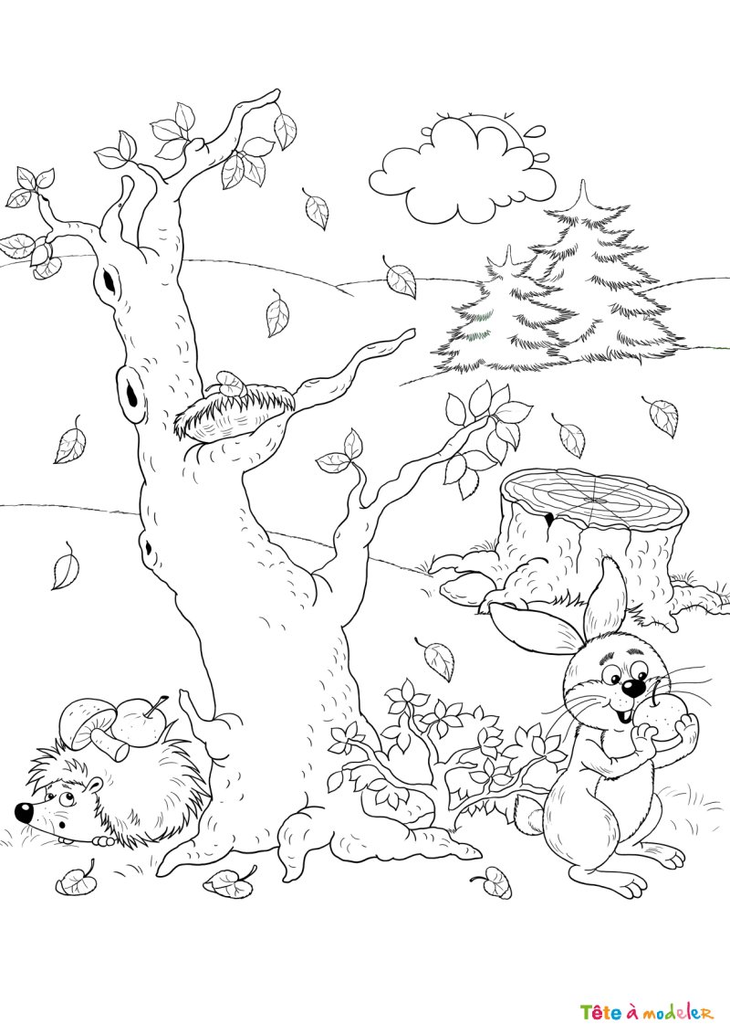 Coloriage feuilles d'arbres #01