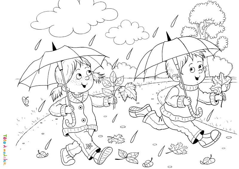Coloriage feuilles d'arbres #02
