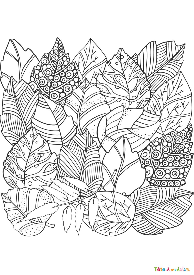 Coloriage feuilles d'arbres #07