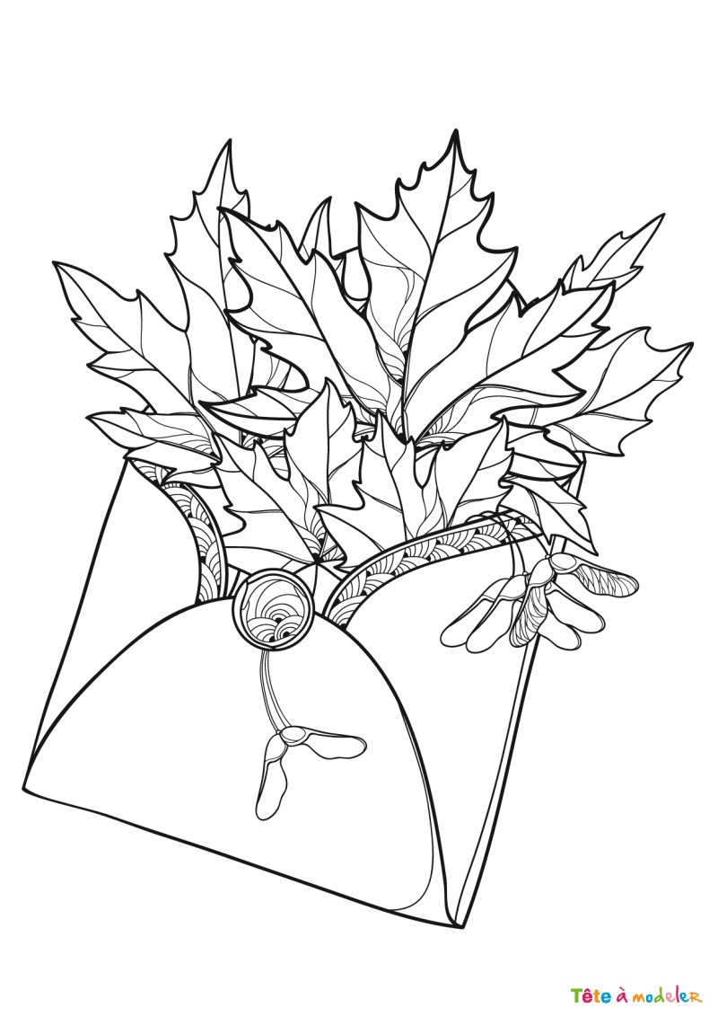 Coloriage feuilles d'arbres #10