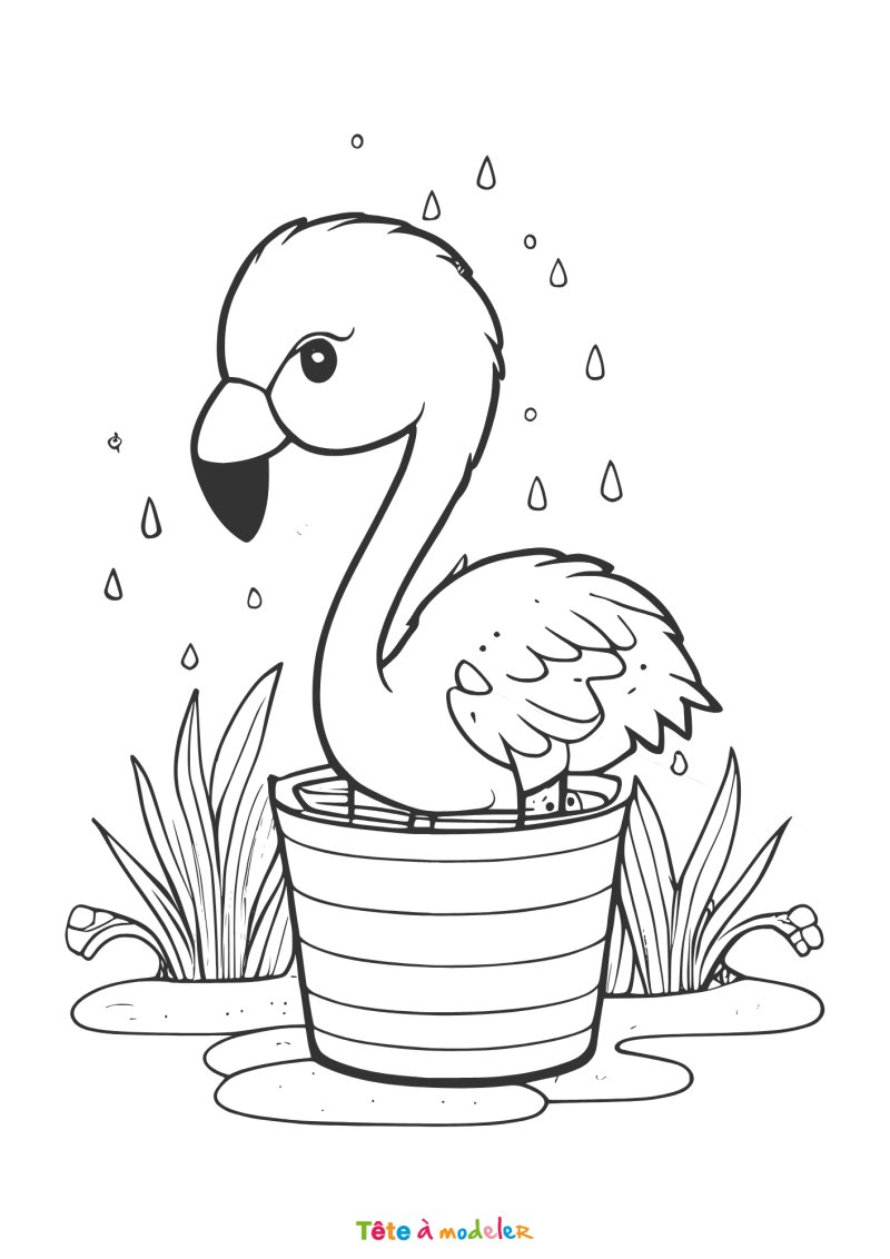 Coloriage flamant rose à imprimer