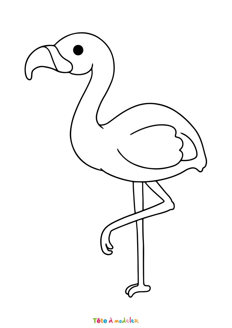 Coloriage flamant rose facile