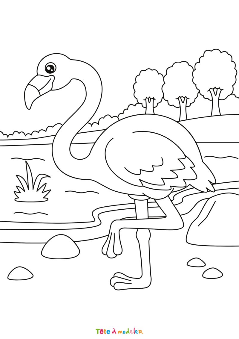 Coloriage Flamant Rose gratuit