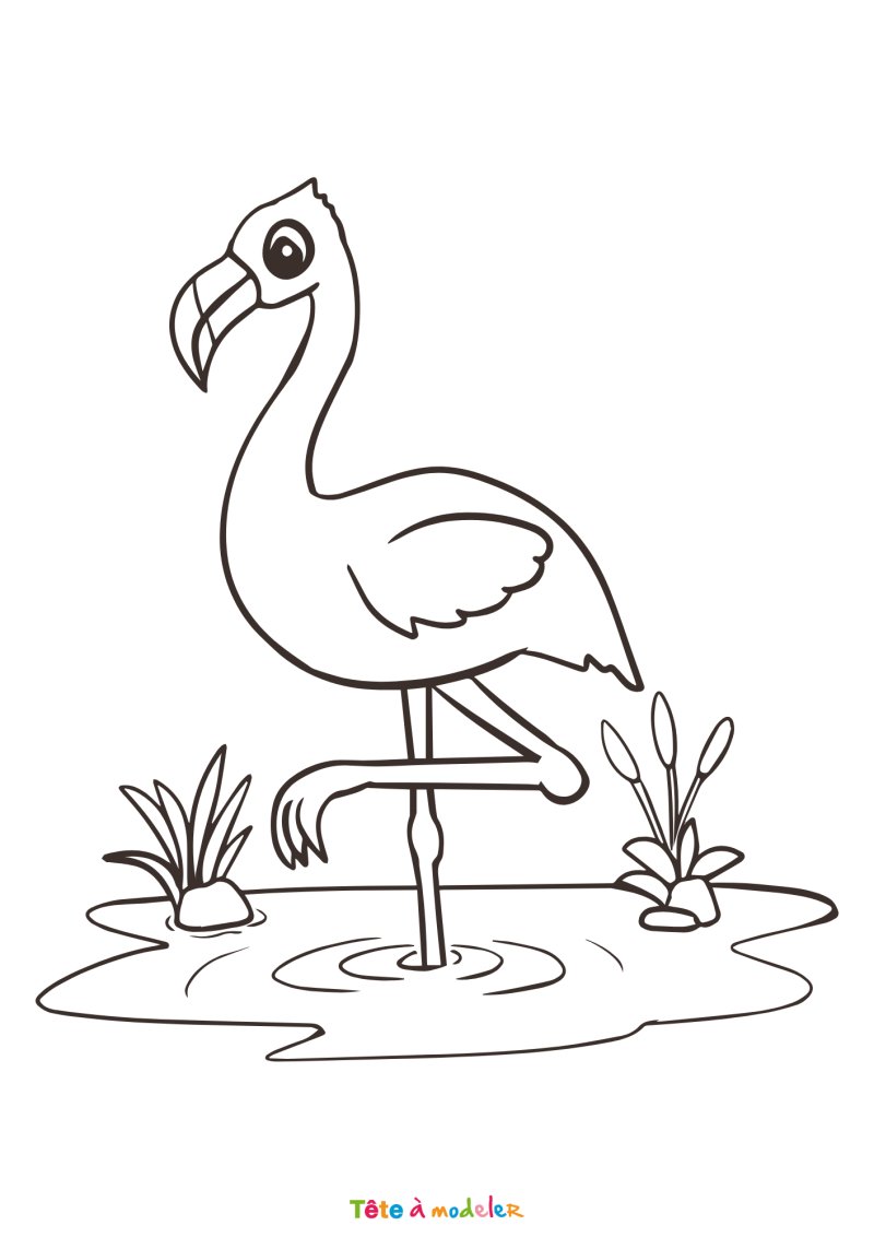 Coloriage flamant rose rapide