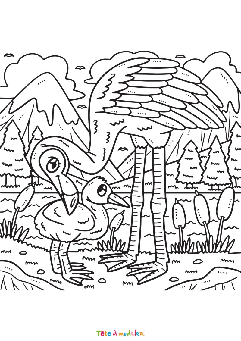 Coloriage flamant rose réaliste