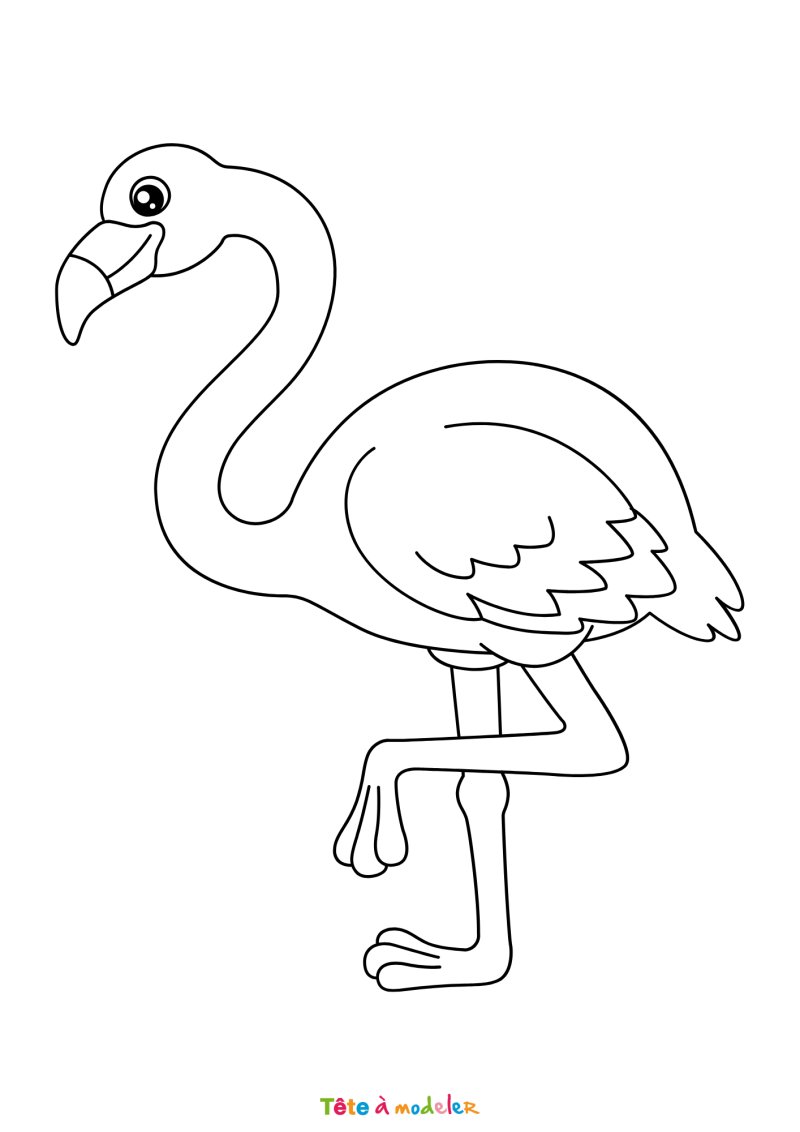 Coloriage flamant rose sur un pied