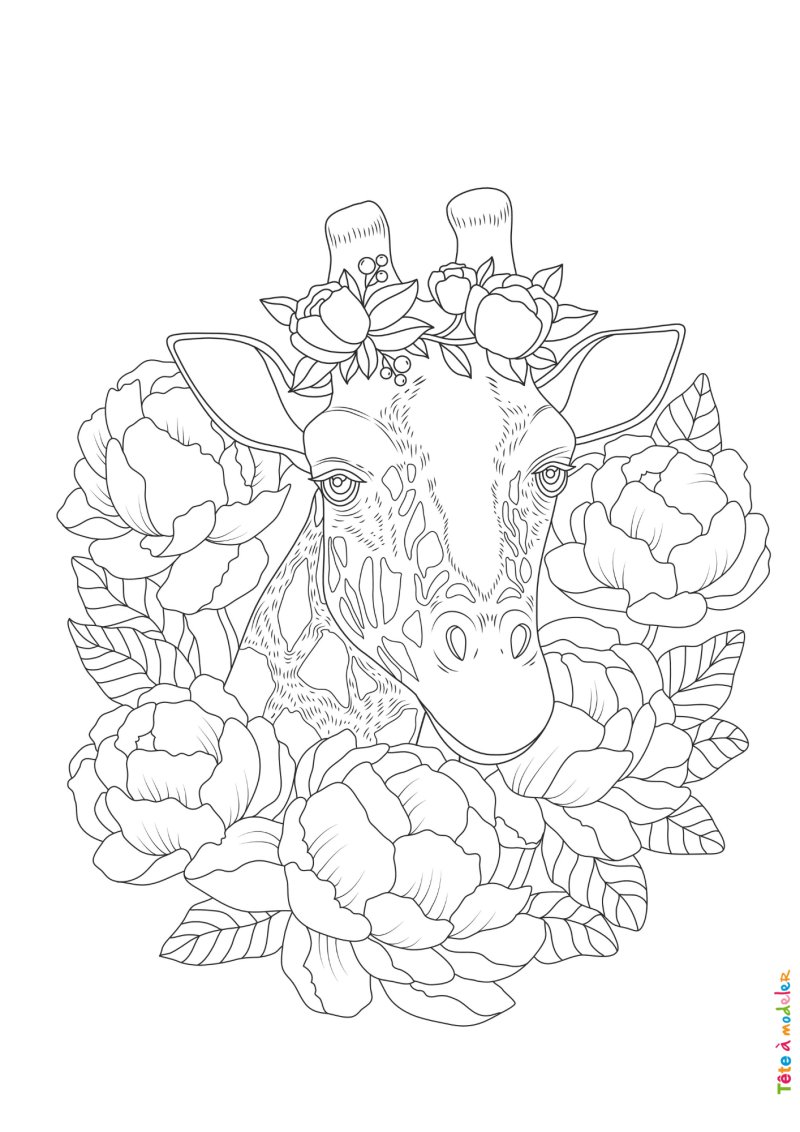 Coloriage girafe #09