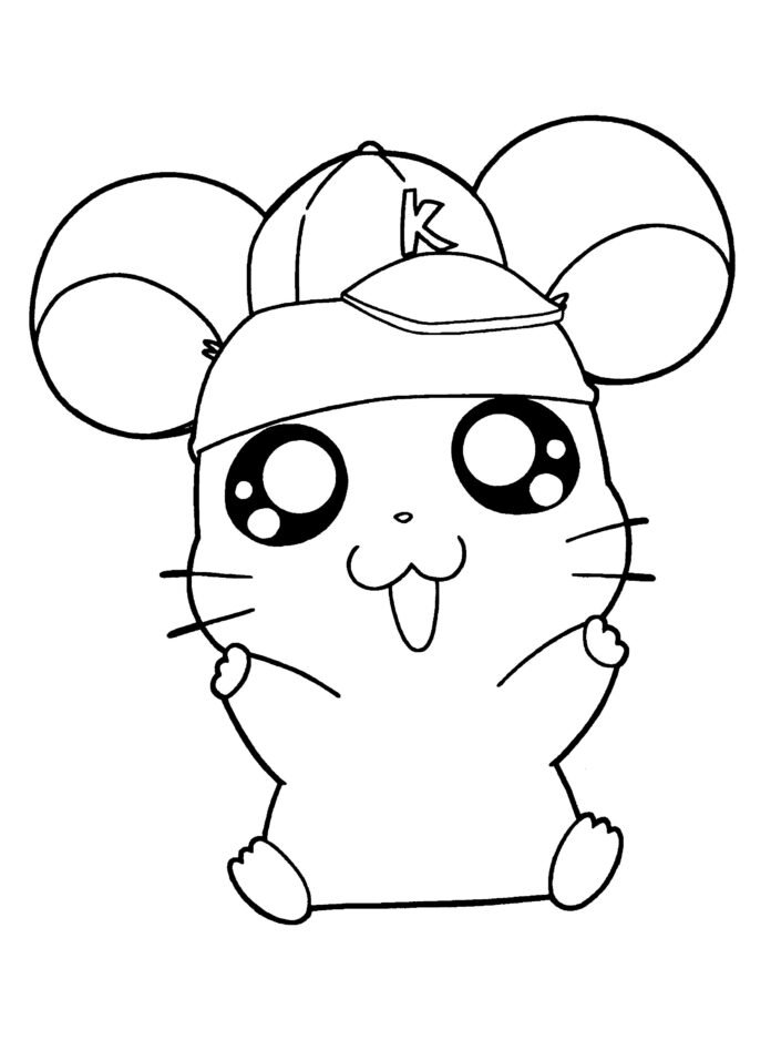 Coloriage hamster avec une casquette