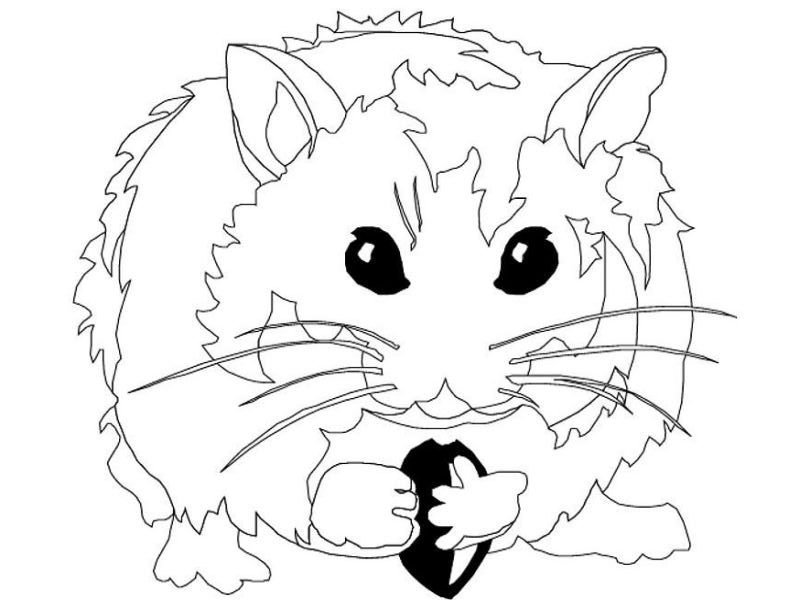 Coloriage hamster en ligne 