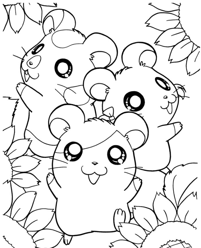 Coloriage hamster gratuit