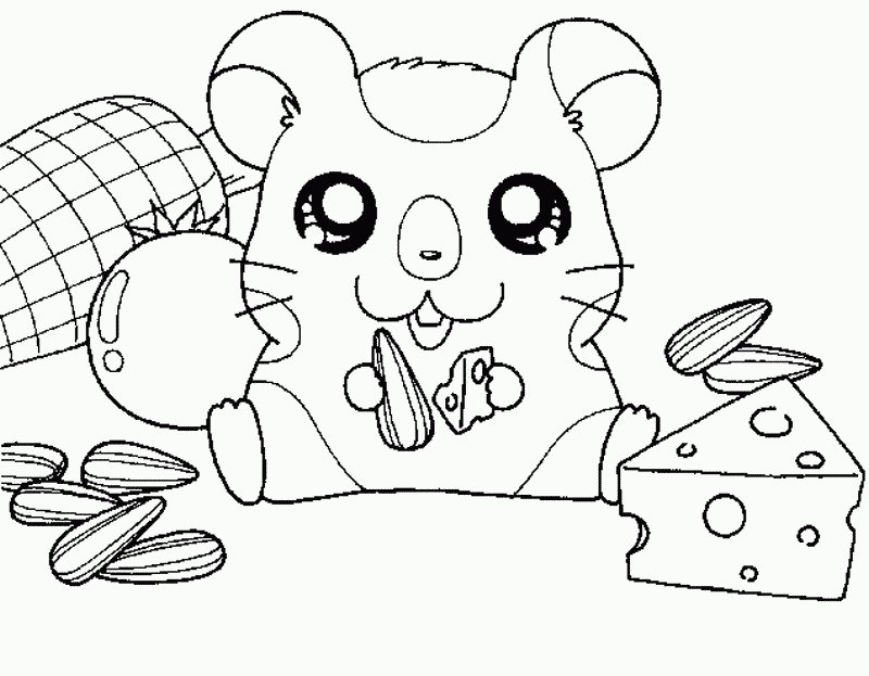 Coloriage hamster mignon 