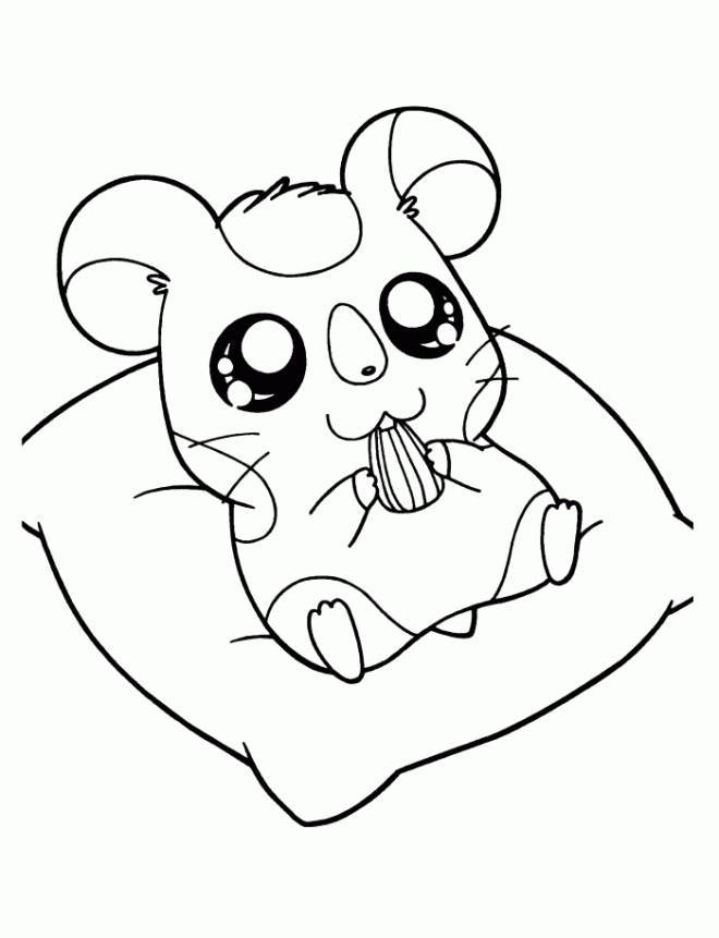 Coloriage hamster pdf