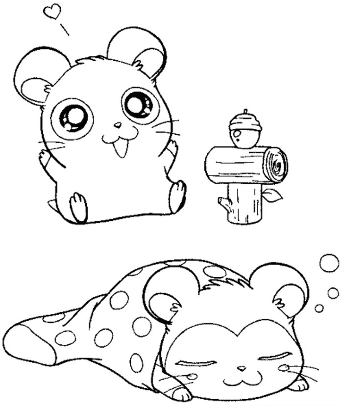 Coloriage hamster qui dort