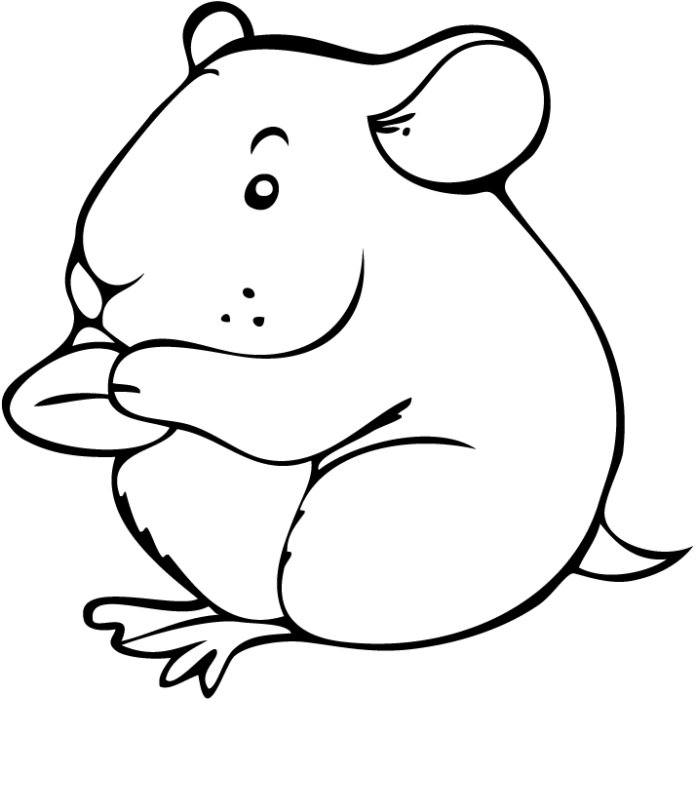 Coloriage hamster reailste