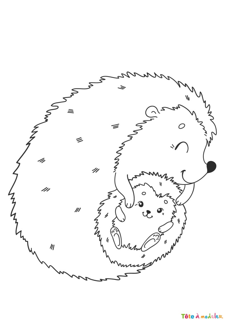 Coloriage hérisson mignon