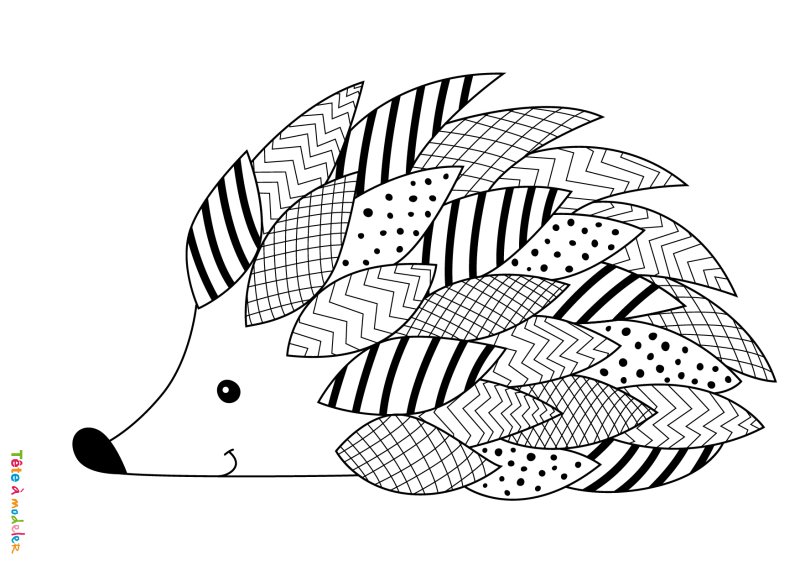 Coloriage hérisson maternelle