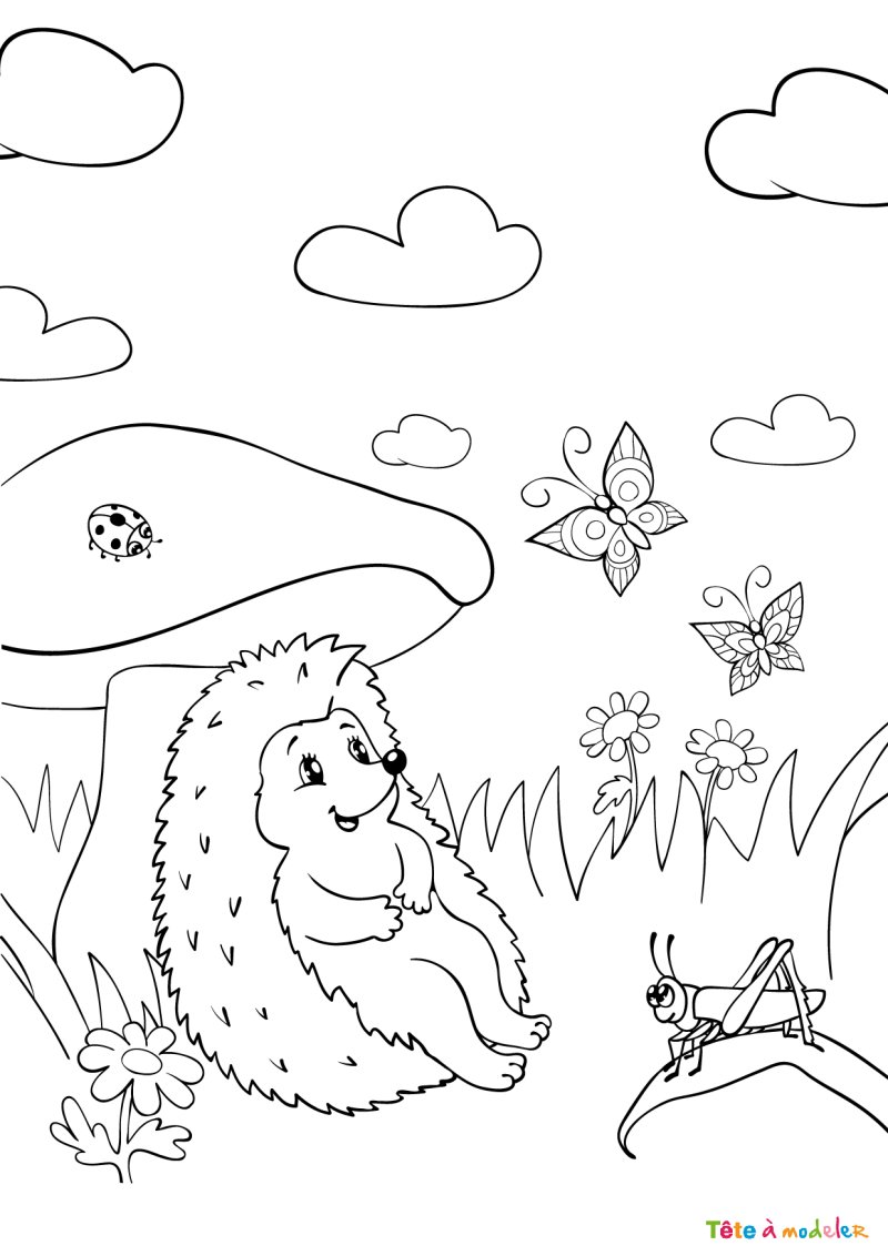 Coloriage d'un hérisson mignon