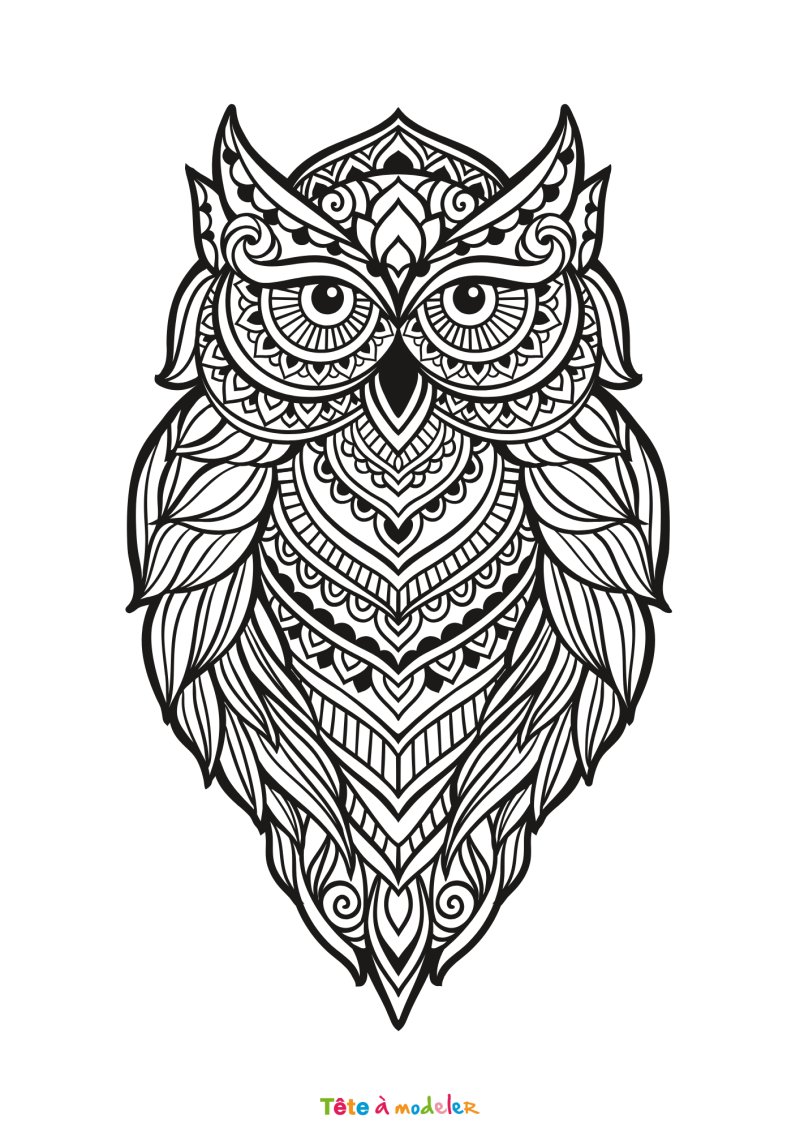 Coloriage hibou art therapie