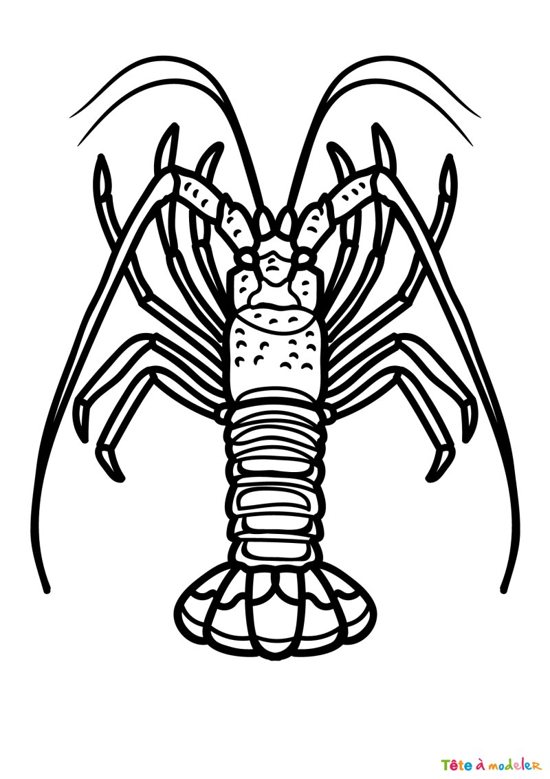 Coloriage homard a imprimer