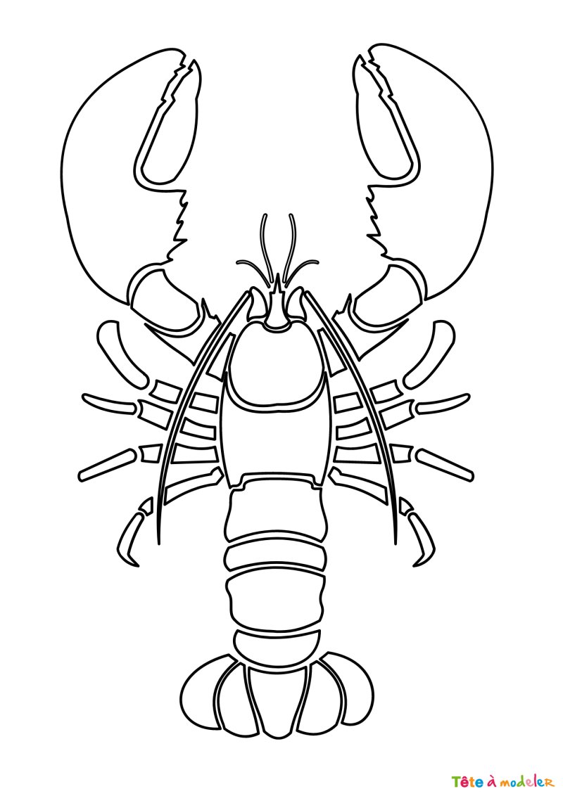 Coloriage homard a télécharger