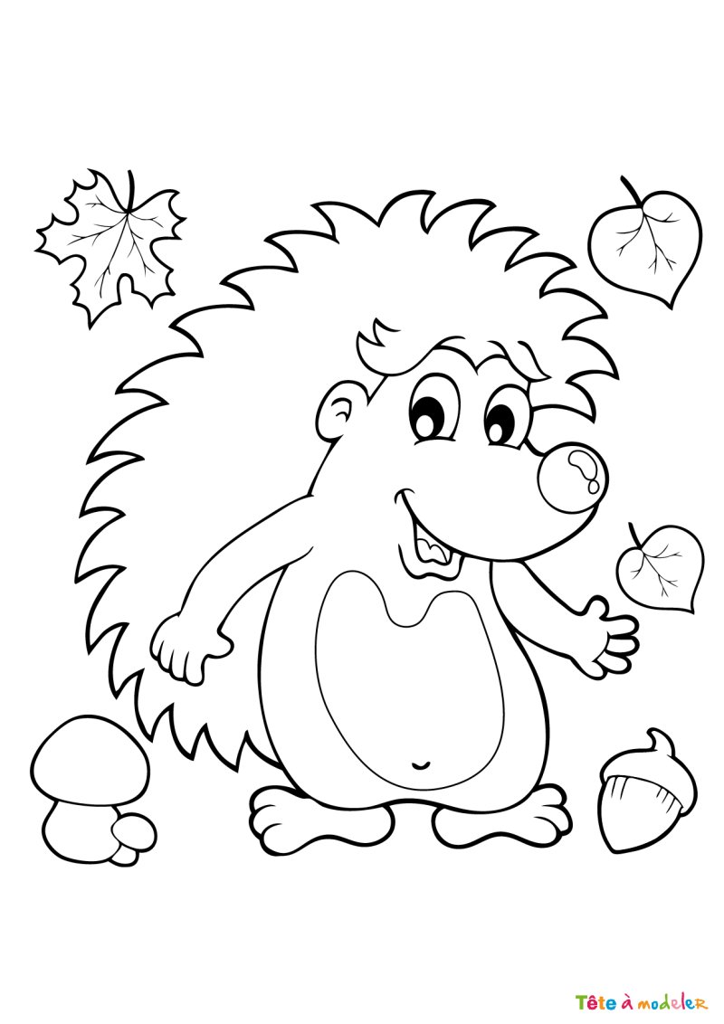 Coloriage d'un hérisson kawaii