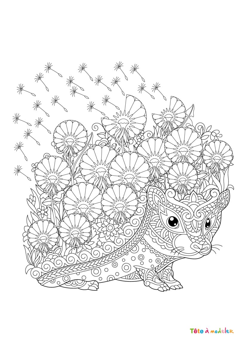 Coloriage d'un hérisson rapide