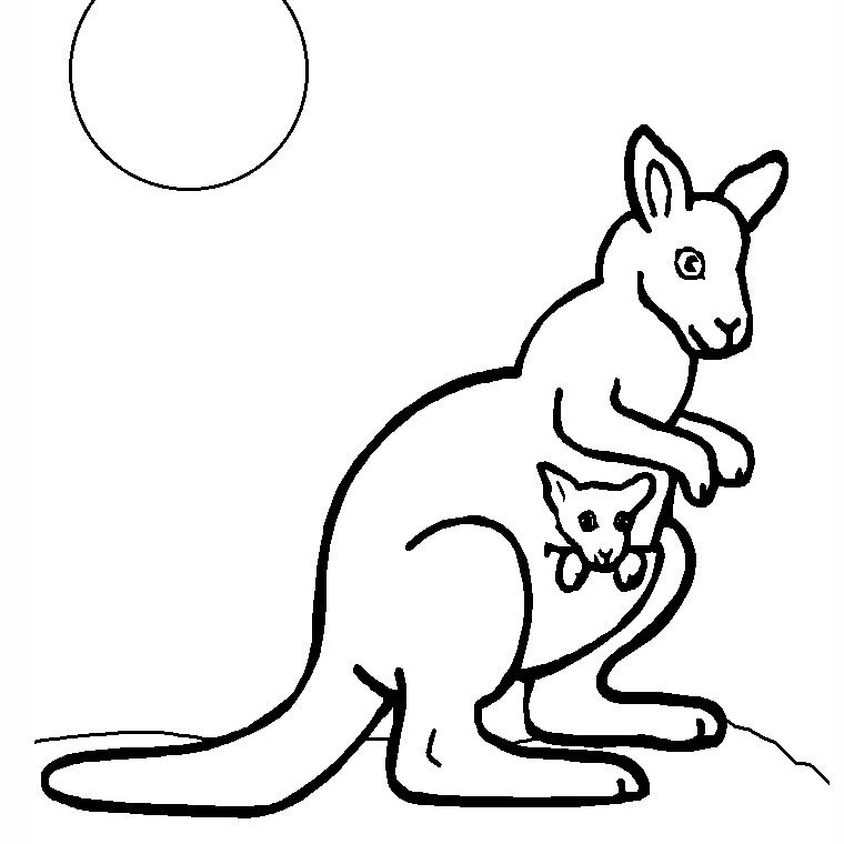 Coloriage kangourou à imprimer